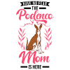 Podenco Mom Spanish Greyhound