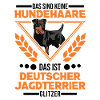 Deutscher Jagdterrier Glitzer