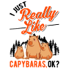 Capybara Gift Capybara Capibara