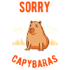 Capybara Gift Capybara Capibara
