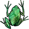 Cute Green Frog
