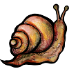 Snail