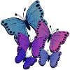 Butterflies