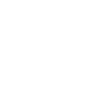 Paraglider
