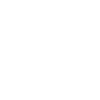 Paraglider