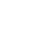 Paraglider