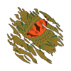 Dino is watching you