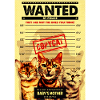 Copycat