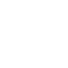 Safari Tour Guide