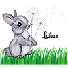 Rabbit Name Gift Lukas