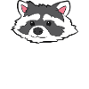 Raton laveur - Racoon Squad
