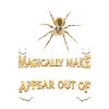 Spider Pet