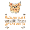 Yorkshire Terrier Hund