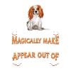 King Charles Cavalier Chien