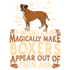 Boxer Dog