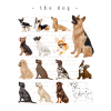 the dog