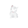 TIERRETTUNG TIERHILFE