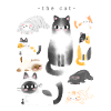 the cat
