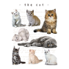les chats mignons