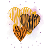 Wildcat Heart Design