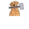 Labrathor Labrador Retriever Golden Retriever