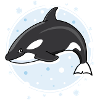 Killer whale