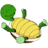 Turtle on its back
