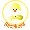 Snorbert the Snowman