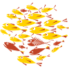 Fish Yellow