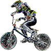 bmx