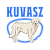 Best Kuvasz Dog Dad