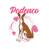 Crazy Podenco signora Levriero spagnolo