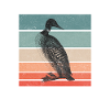 Common Loon Retro