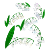Lilies of the valley
