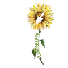 Landscaper Landscape Architect Usa