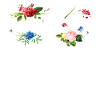 Landscaper Landscaping Landscape