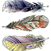 Pen