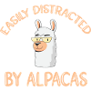 Distracted by alpacas Alpaca