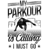 Parkour Free Running Traceur