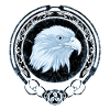 Celtic Falcon Zodiac