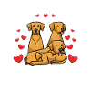 Chien Rhodesian Ridgeback