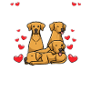 Rhodesian Ridgeback Dog
