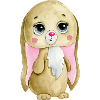 cute rabbit