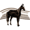 Cheval