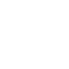 Lion - Personne d'exception