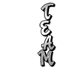 Team