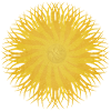 Light symbol sun - soul sign - happiness abundance