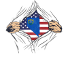 Rip Reveal America State Flag Nevada
