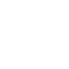 The boss