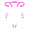 Utérus avant duderuses